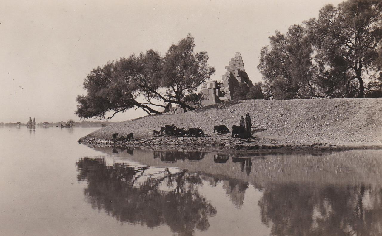 Carte postale de Heinz Leichter et Fils. (1910-1940).