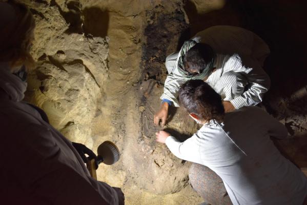 Dégagement d'une sépulture tardive dans le secteur stg du ramesseum